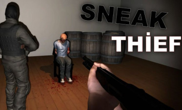 Interesting Facts About Sneak Thief Game